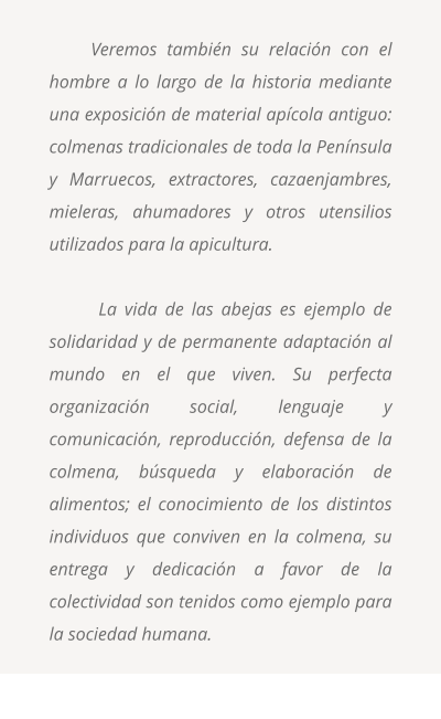 Veremos tambi�n su relaci�n con el hombre a lo largo de la historia mediante una exposici�n de material ap�cola antiguo: colmenas tradicionales de toda la Pen�nsula y Marruecos, extractores, cazaenjambres, mieleras, ahumadores y otros utensilios utilizados para la apicultura.   La vida de las abejas es ejemplo de solidaridad y de permanente adaptaci�n al mundo en el que viven. Su perfecta organizaci�n social, lenguaje y comunicaci�n, reproducci�n, defensa de la colmena, b�squeda y elaboraci�n de alimentos; el conocimiento de los distintos individuos que conviven en la colmena, su entrega y dedicaci�n a favor de la colectividad son tenidos como ejemplo para la sociedad humana.