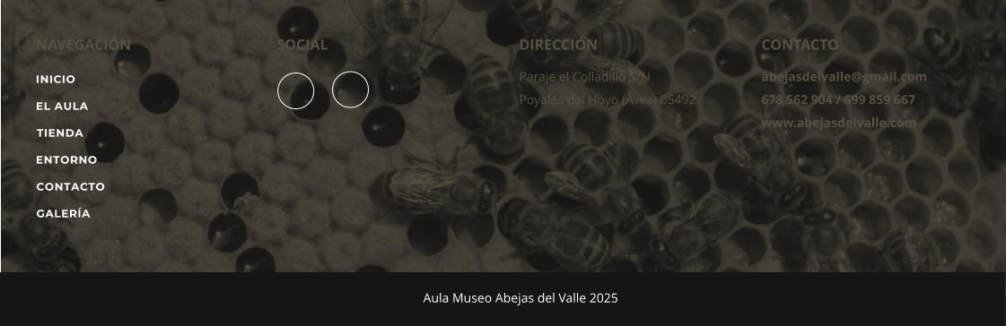 INICIO RECIPES CONTACTO NAVEGACI�N SOCIAL DIRECCI�N Paraje el Colladillo S/N Poyales del Hoyo (�vila) 05492 CONTACTO abejasdelvalle@gmail.com 678 562 904 / 699 859 667 www.abejasdelvalle.com		 Aula Museo Abejas del Valle 2025   INICIO EL AULA TIENDA ENTORNO CONTACTO GALER�A